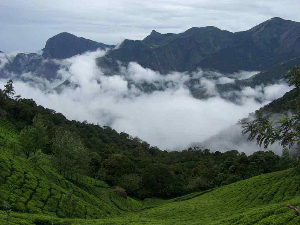 Top Station Viewpoint near Never Inn Munnar Cottage